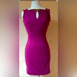 LAUNDRY BY SHELLI SEGAL Purple Magenta Dress Size 2 Businesses casual dress